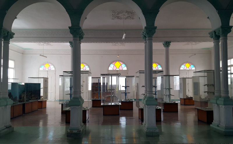 Museo Foto 5