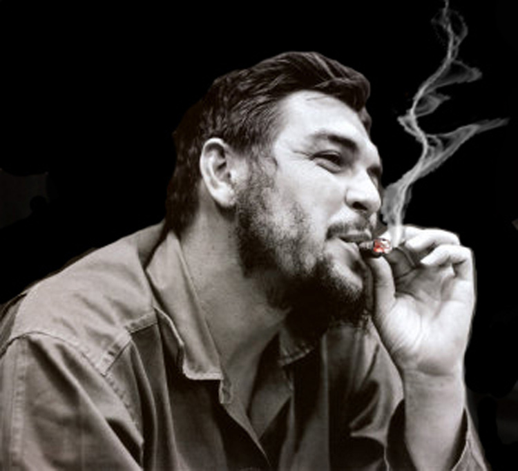 che 6
