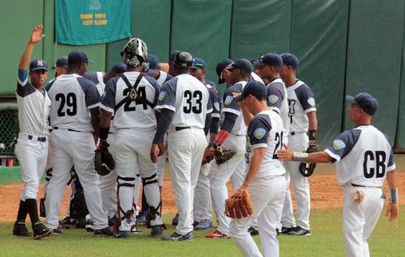 Holguin cachorros 1