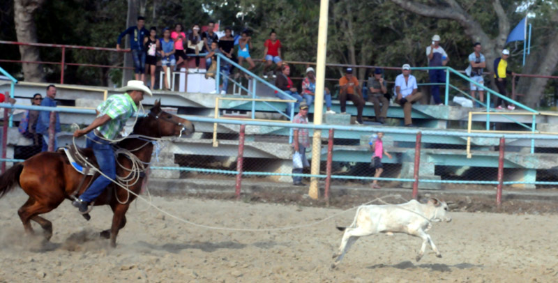 feria agropecuaria 4
