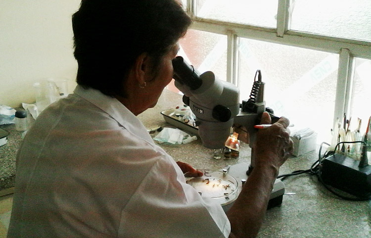 Foto: Del Autor