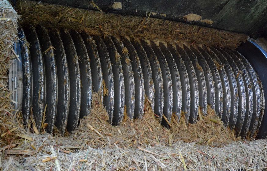 molida cana azucar f acn