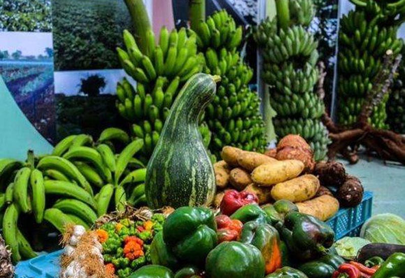 feria agro 1