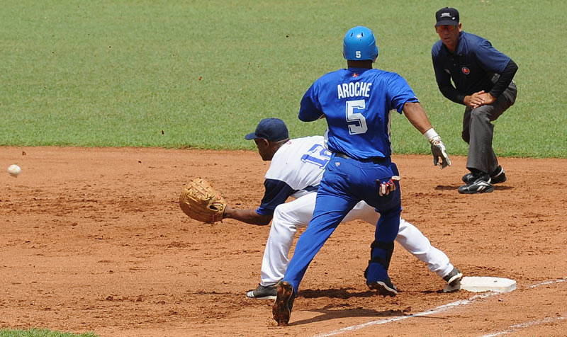 cachorros industriales