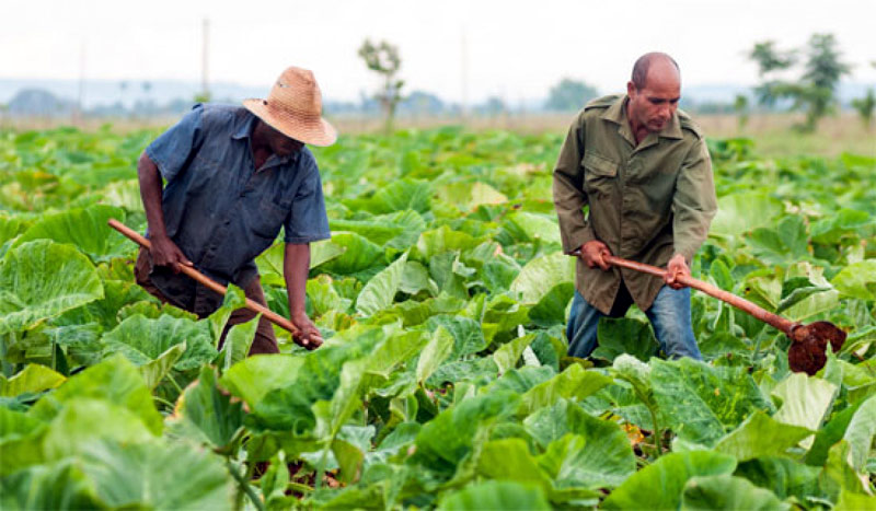 capacitacion agricultura 1