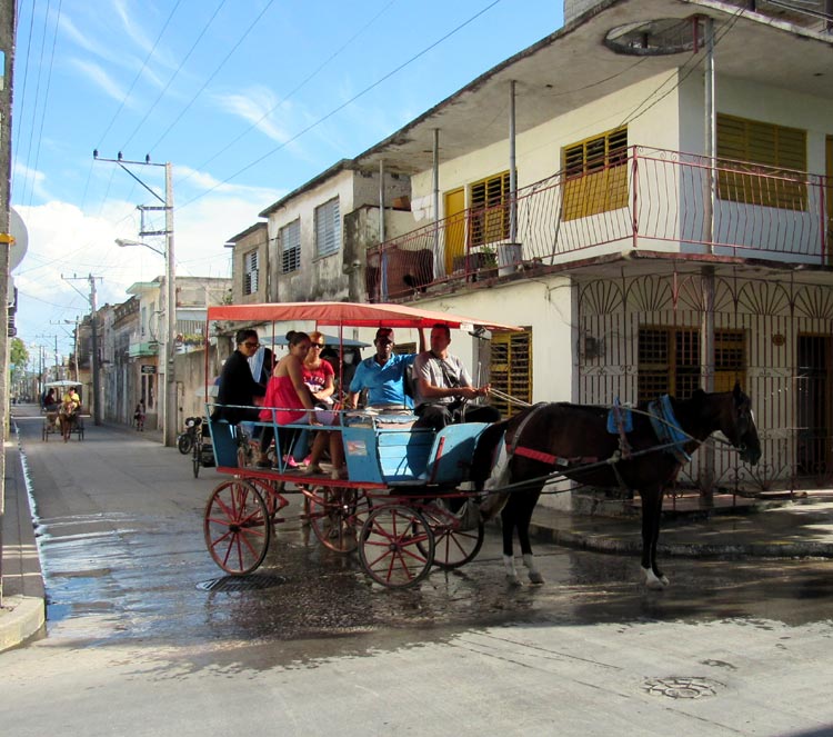 coches 6