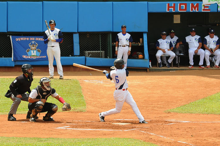 cachorros 9
