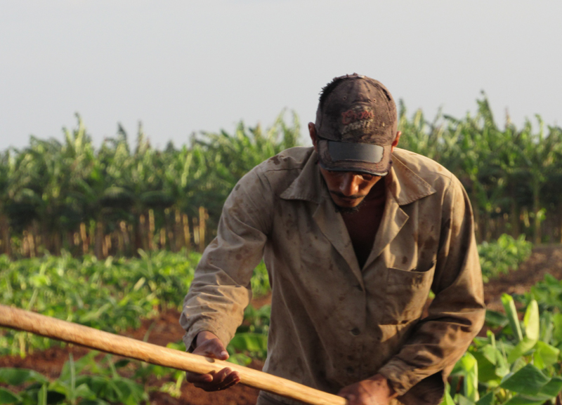 Foto: Alexis del Toro