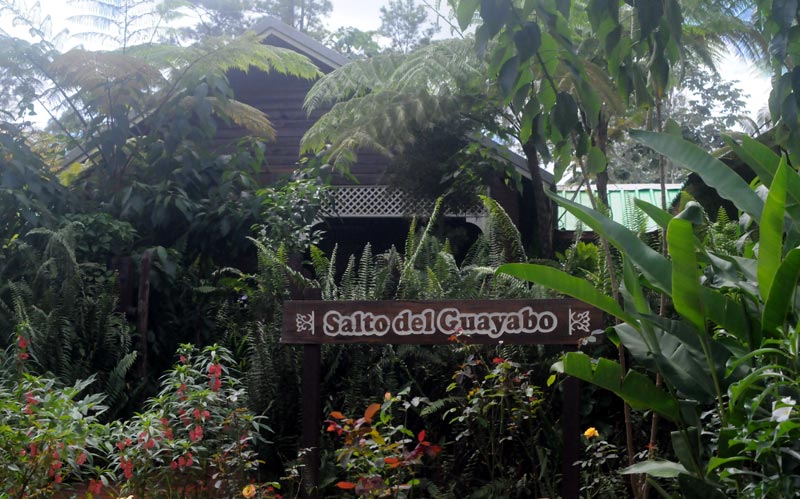 salto guayabo 02