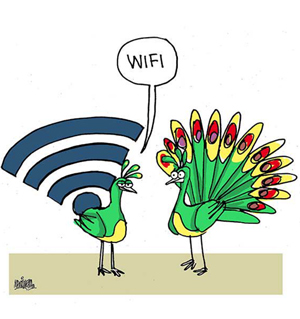 WIFI.ok