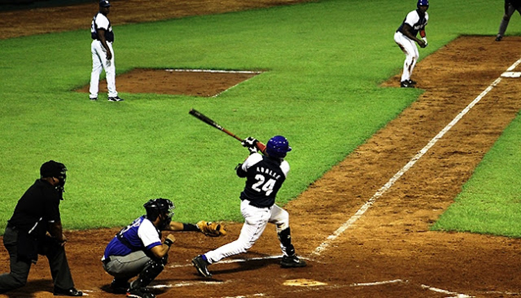 cachorros franklyn aballe