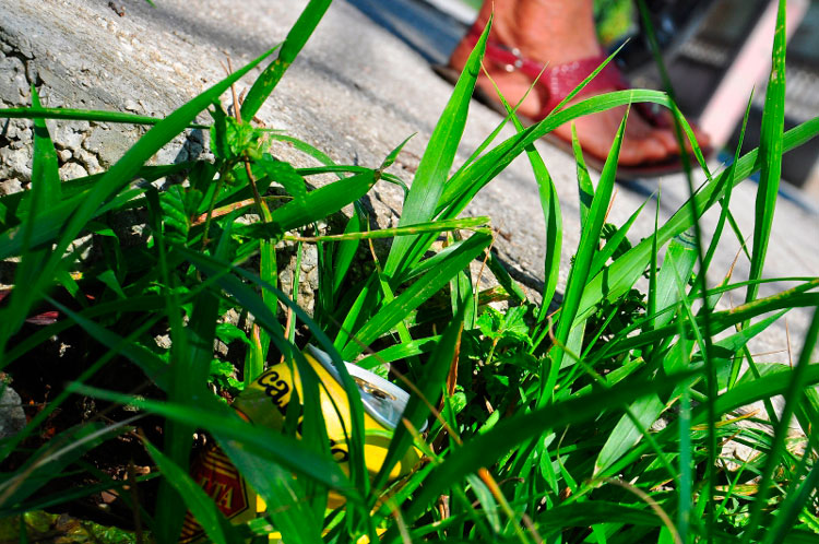 Basura arrojada en el medio ambiente. Foto: Carlos Rafael