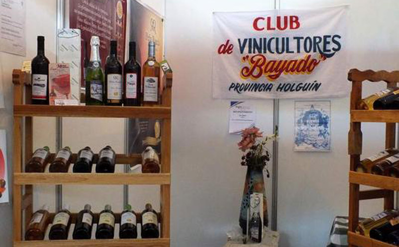 vinicultores festival 2