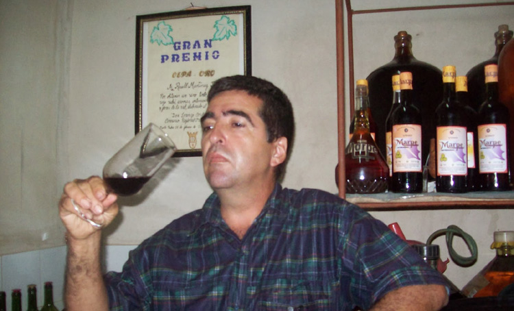 vinos rosell 2