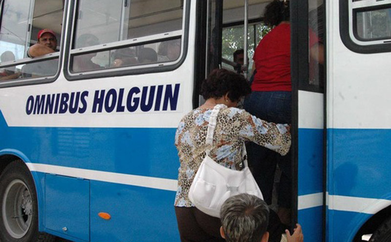 omnibus hg 2