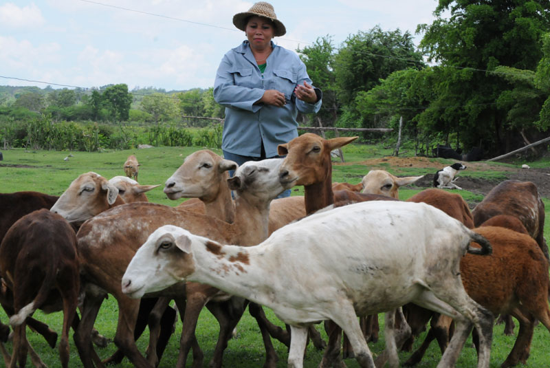 campesina 1
