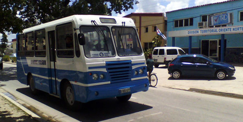 omnibus diana hlg 1