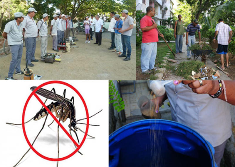 Contra el aedes