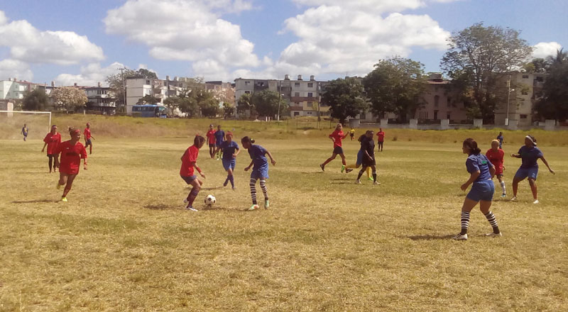 Liga cub futbol