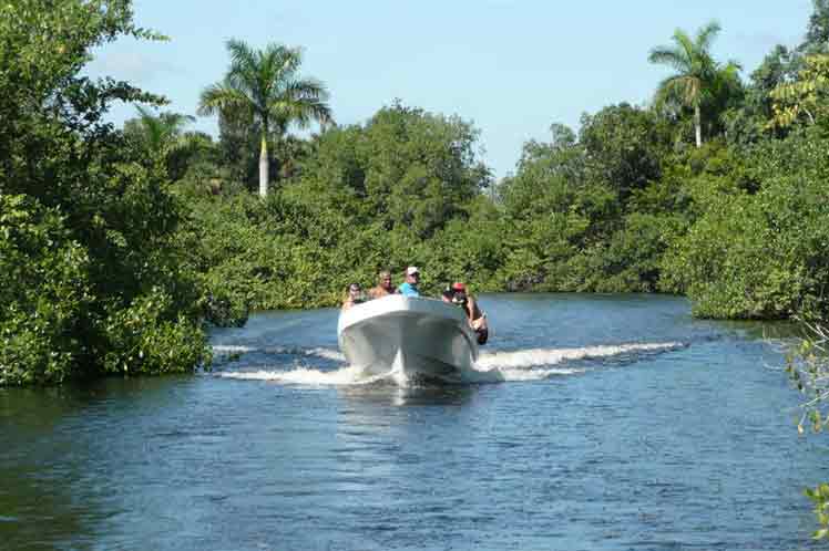 cuba cienaga campos2