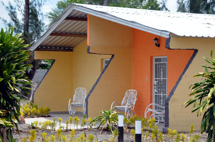los pinos 5