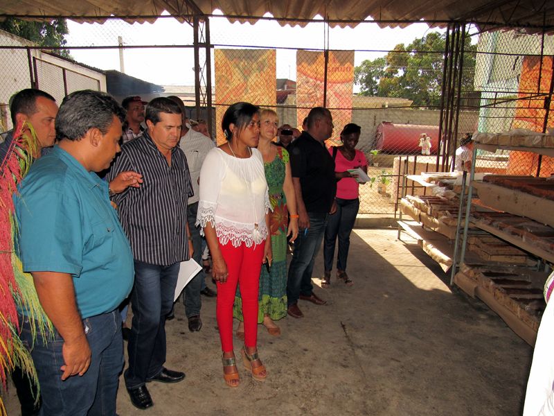 INAUGURACION 11