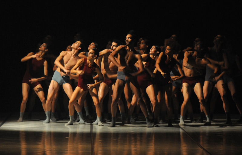 codanza pepe hevia 01
