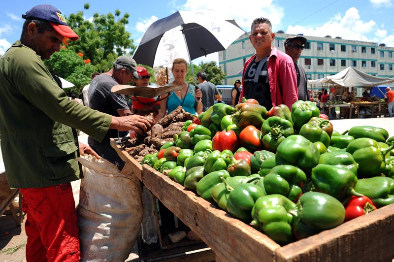 feria fin de año 1