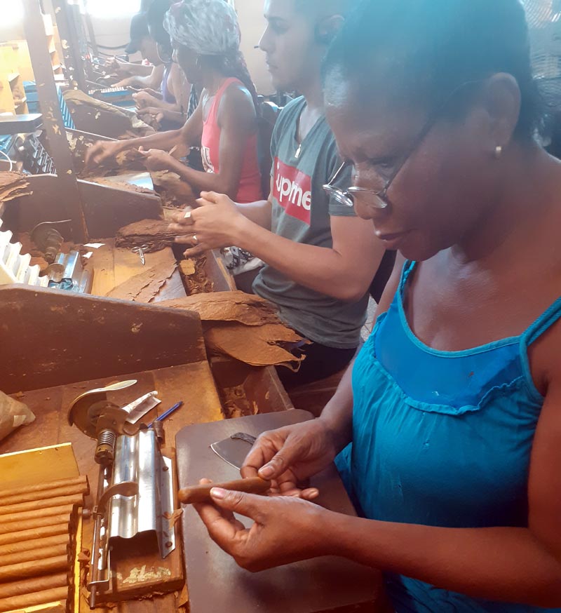La empresa se destaca también por la eficiencia en la producción, entrega y calidad de los pedidos y la atención a los trabajadores. tabaco torcido 2