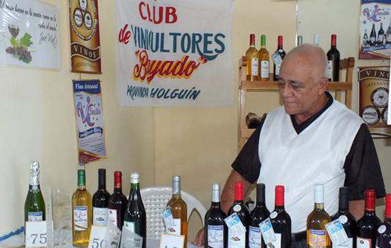vinicultores festival 1