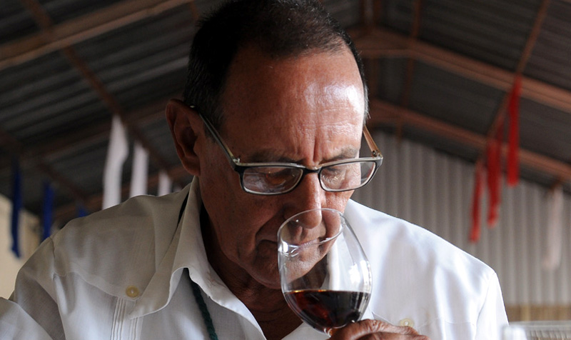vinicultores festival hg 2