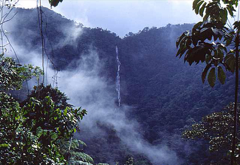 Parque Nacional Alejandro de Humboldt, atractivo natural por excelencia en Holguín. biotur 1