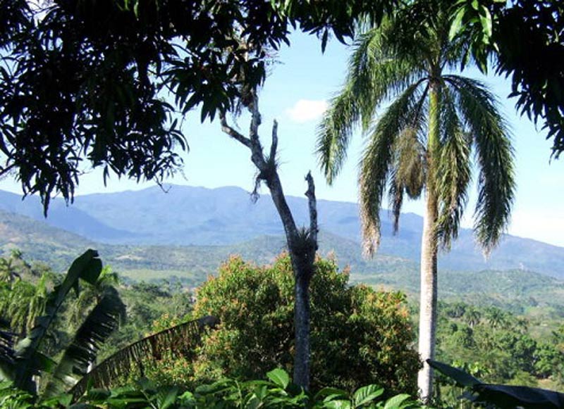Parque Nacional Pico Cristal, una joya natural en la serranía holguinera. biotur 2