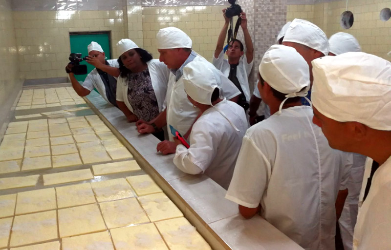 En el Lácteo holguinero, Díaz-Canel se interesó por su línea de producción de quesos. Fotos: Presidencia Cuba (twitter) diaz canel lacteo 3