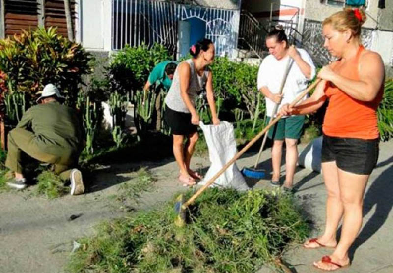 trabajo voluntario