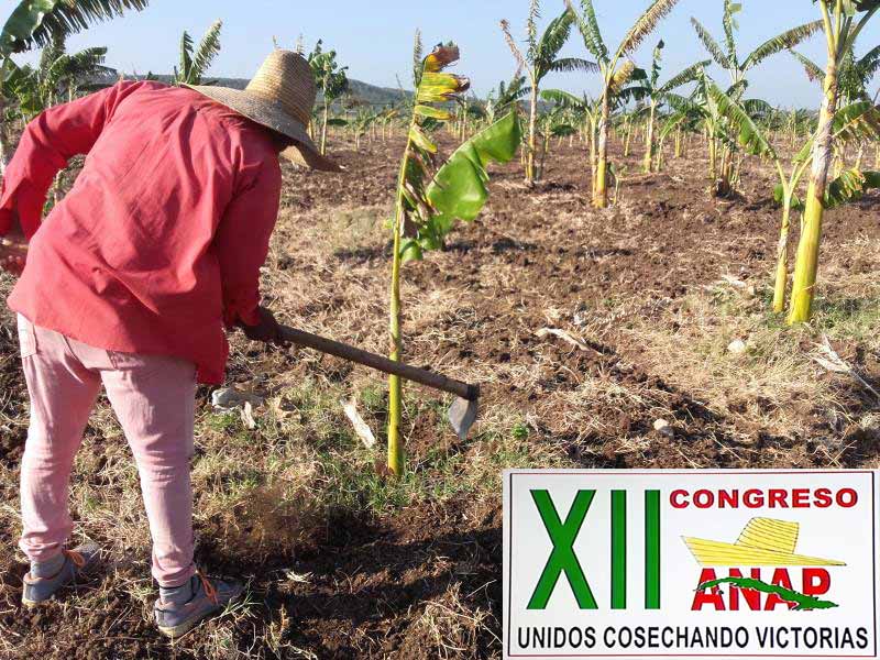 Ccongreso XII ANAP