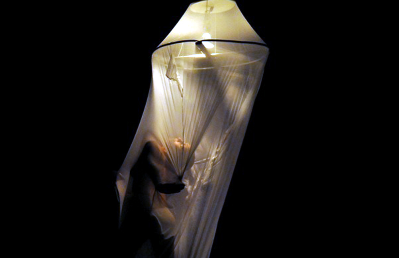 codanza 1