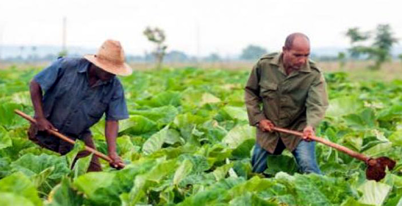 Foto: Juventud Rebelde