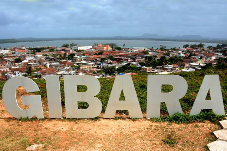 Gibaraweb1