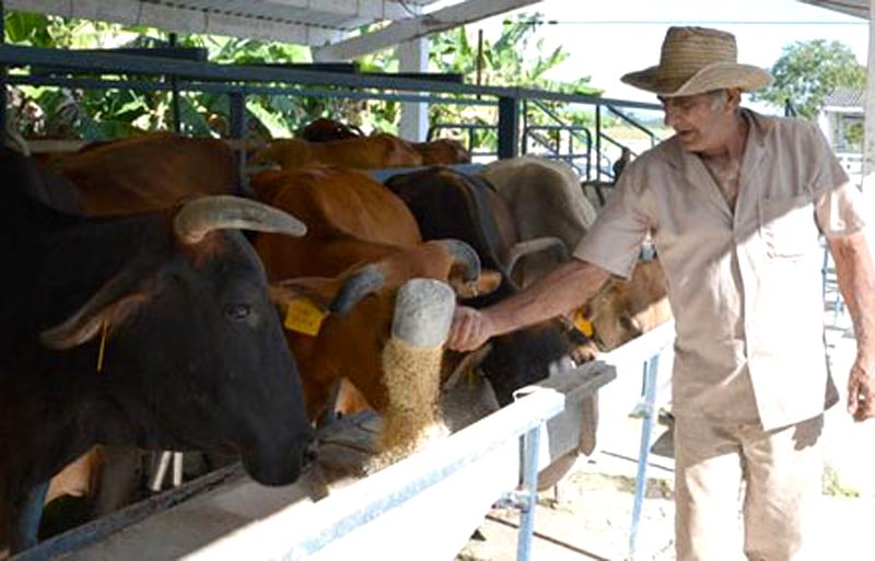 Investigac unv alim animal