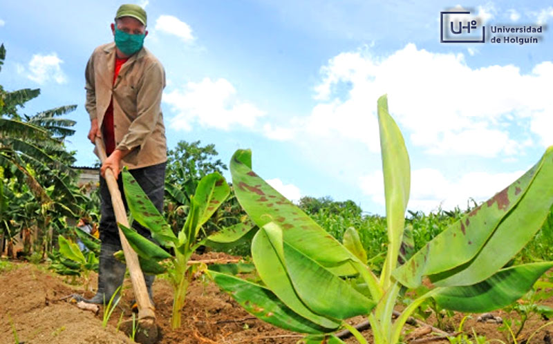 Investigac unv suelos aridos