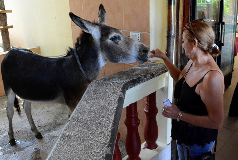 Mirador Mayabe aniversario CRD 4263