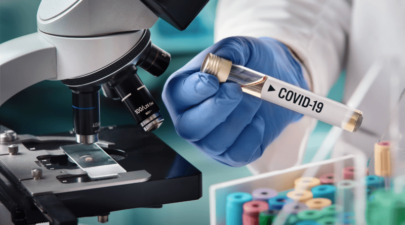 casos coronavirus 
