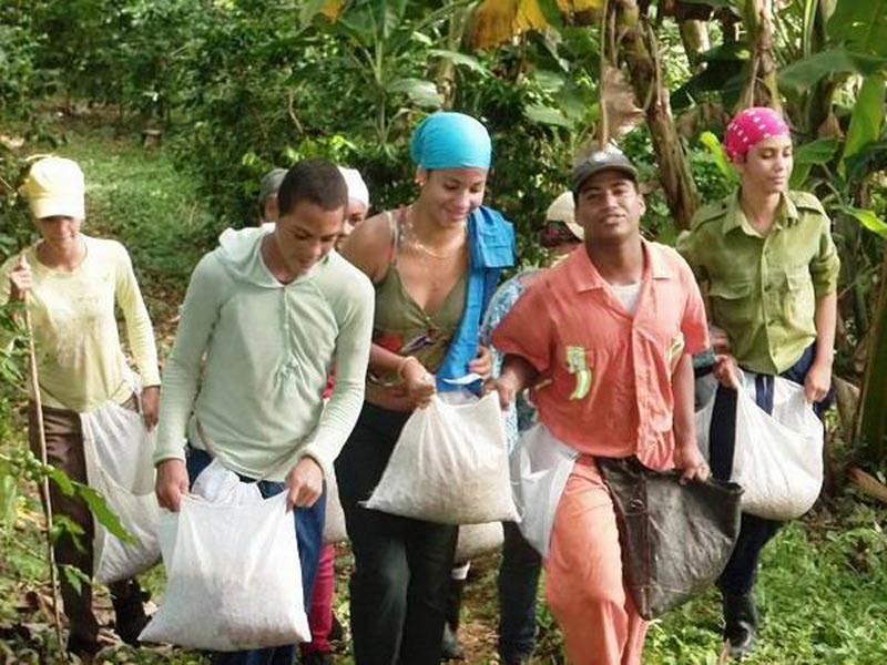 Centros Estudio UHO Elder 2