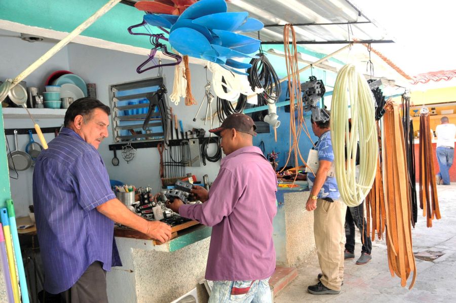 Trabajo por cuenta propia 4