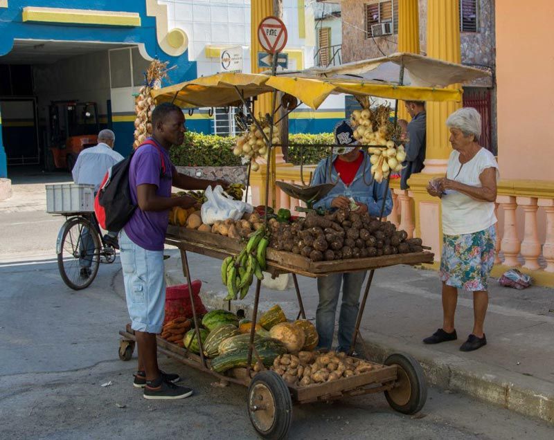 ¿Quién controla las producciones de los campesinos y las cooperativas?. Foto: Prensa Latina carretillero holguin
