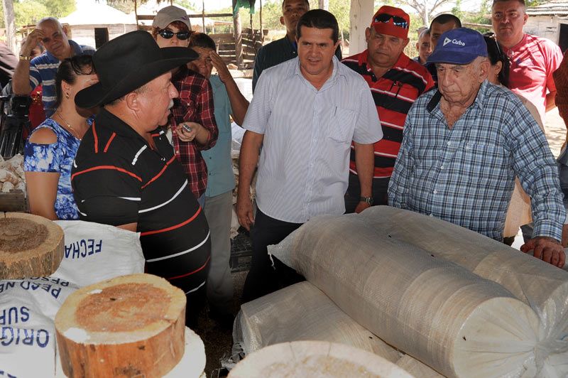 machado visita casabe
