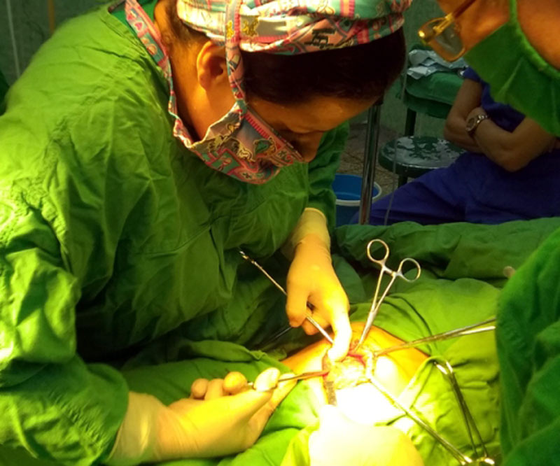 Se prevé implementar el pesquisaje desde el lactante pequeño hasta que cumple el año de vida. pediatria protocolo 2
