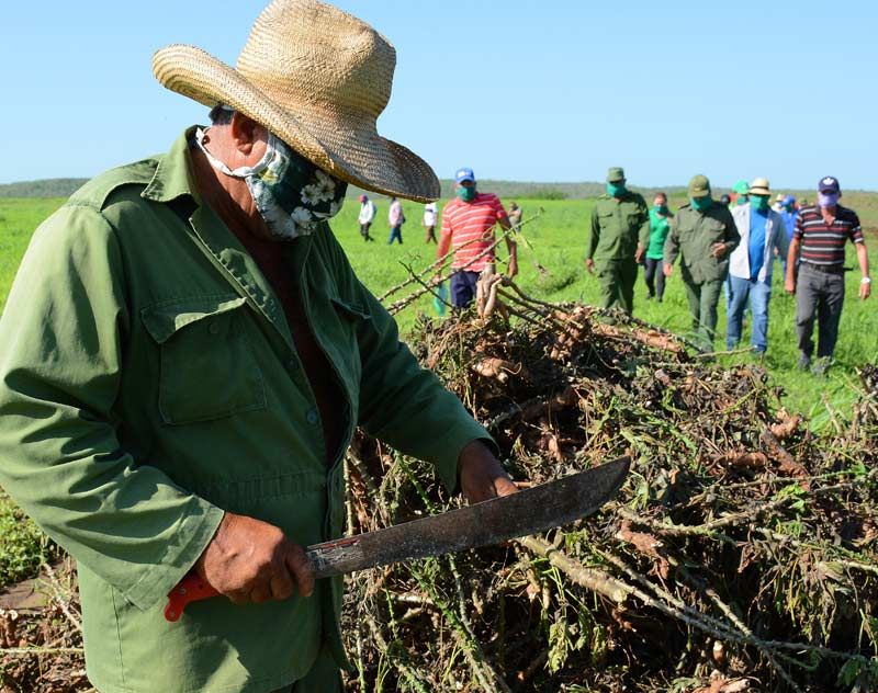 agricultura lluvia 1