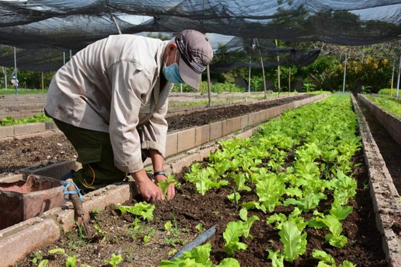 agricultura lluvia 5